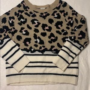 Leopard/Striped Sweater